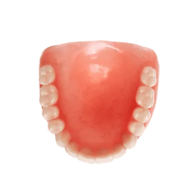 Акриловые зубные протезы.