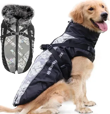 Одежда для собак крупных и средних пород JOY Комбинезон дождевик для самок  - купить с доставкой по выгодным ценам в интернет-магазине OZON (301541944)