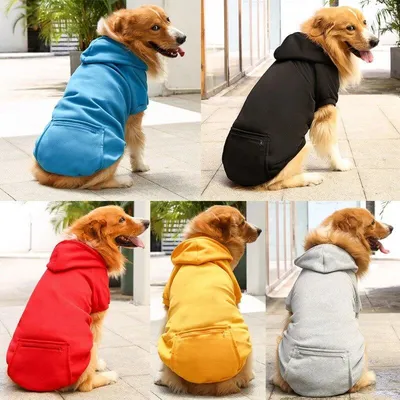 Толстовка-худи для собак и кошек, одежда для животных купить по низким  ценам в интернет-магазине Uzum (570607)