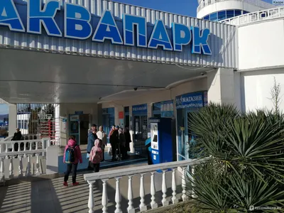 Аквапарк \"Аквалоо\", Сочи - «Крытый аквапарк \"Аквалоо\" зимой. Все плюсы и  минусы. » | отзывы