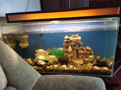 Аквариум Aquael AQUA4 HOME Rec 200 литров цена, купить Аквариум Aquael  AQUA4 HOME Rec 200 литров