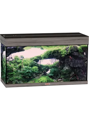 Аквариум Zelaqua Карон с тумбой, 200 л
