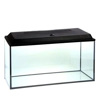 AQUAEL OPTI SET 200 л (чёрный) - аквариум из осветлённого стекла Opti  White, 101x41x56 см купить в Москве по цене 31 180 руб. — Аквионика