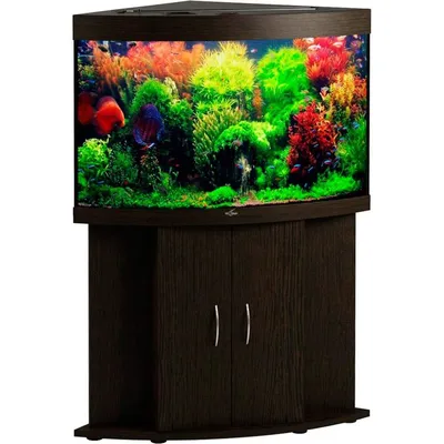 Морской аквариум под ключ 150-200л категория 2 | Aquarium-Style