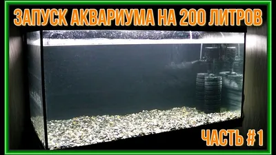 Аквариум Биора - Диорама 200