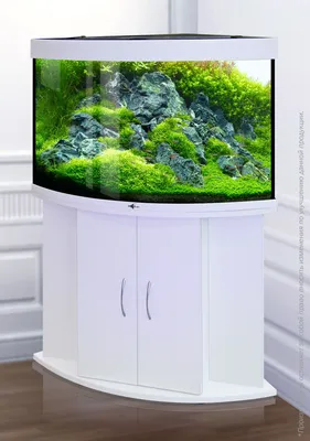Аквариум 200 литров с тумбой AquariumBest цвет Венге (темно-коричневый)  101х36х58 (ДхШхВ) - купить с доставкой по выгодным ценам в  интернет-магазине OZON (662334058)