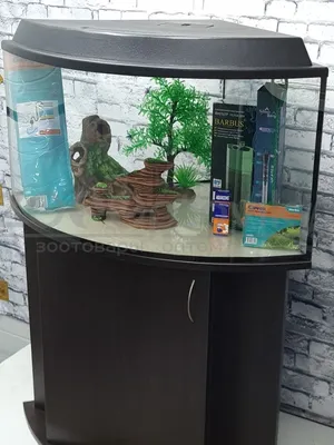 200 литров без САМПА - Мой маленький морской аквариум - Морской аквариум.  Форумы ReefCentral.ru