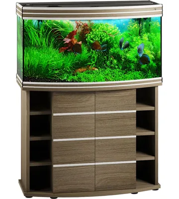 Biodesign Altum 200 купить прямоугольный аквариум 200 литров Биодизайн  Альтум 101x41x57 см