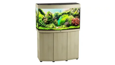 риф 200 - Мой морской аквариум - Морской аквариум. Форумы ReefCentral.ru