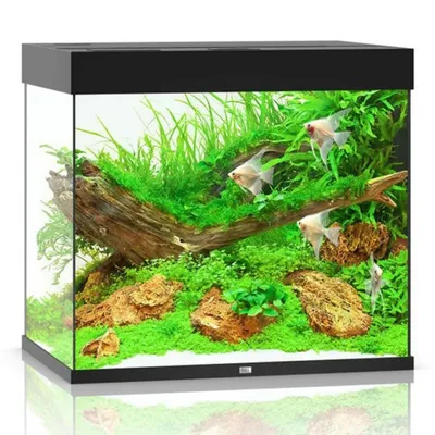 Аквариумы \"AquaElement Прямоугольный 5 - 200л. \" (ID#40906705), цена: 40  руб., купить на Deal.by