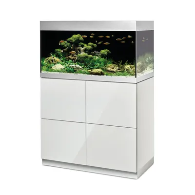Аквариум 200 литров с тумбой AquariumBest цвет Белый 101х36х58 (ДхШхВ) -  купить с доставкой по выгодным ценам в интернет-магазине OZON (662389626)