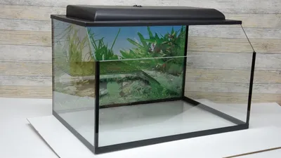 Пластиковый аквариум для черепах TURTLE BOWL ARRICOT 31 х 22 х 7,5 см  купить 🐾 BiZOOn