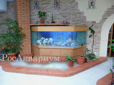 Аквариум Биодизайн Атолл 1000 – купить в магазине аквариумов Акватория