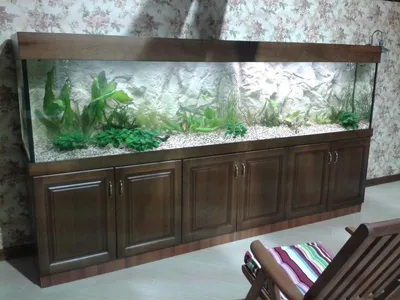 Прямоугольный аквариум Биодизайн Атолл 1000 (825 литров) купить в Москве по  выгодной цене - Aquaterra