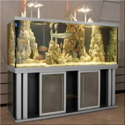 Аквариум 1000 литров: цена на аквариум. Где купить аквариум на 1000 литров
