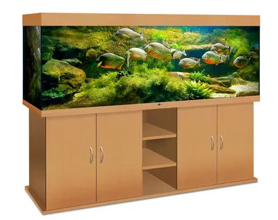 Изготовление аквариумов по индивидуальному литражу: аквариум на 600 литров  - AquaWorks