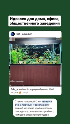 Аквариум 150 (180) литров | Официальный сайт производителя аквариумов  ССБ-аква