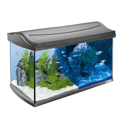 Купить в Перми T151543 Tetra AquaArt аквариум 60 л цвет антрацит - Зооцентр