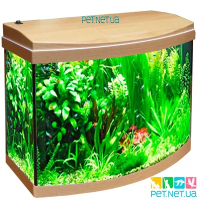 Купить аквариум с крышкой-LED, 60 литров (Бук)