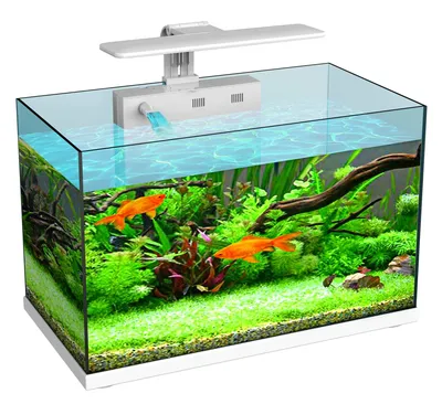 Купить аквариум Atman ZGT-60 белый LED, 75 литров, цены на Мегамаркет |  Артикул: 600006834211