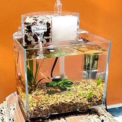 Аквариум для рыбок Betta маленький, Акриловые Настольные чаши,  самоциркуляционная фильтрация, аквариумы с бесшумным насосным фильтром,  хлопок | AliExpress