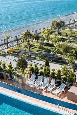 Климатотерапия - Оздоровление и SPA | Отель Alex Beach Hotel (Алекс Бич)  Абхазия Гагра Официальный сайт!