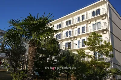 Сауна - SPA | Отель Alex Beach Hotel (Алекс Бич) Абхазия Гагра Официальный  сайт!