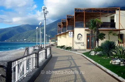 Alex Beach Hotel»/«Алекс Бич» отель 4* Гагра | Скаут-тур