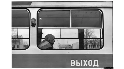 Впечатляющие снимки Александра Ляпина в формате jpg
