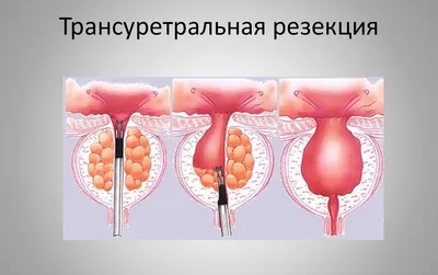 Дочь Марка Захарова Александра — личная жизнь и биография актрисы, мужья и  дети