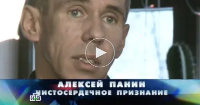 Любимый актер Путина снялся в скандальном видео с собакой: видеофакт - Алексей  Панин | Обозреватель