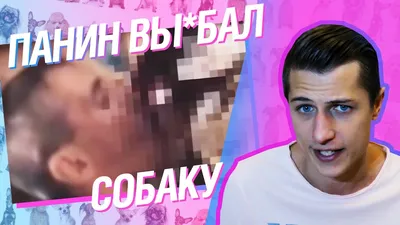 Скандалы Алексея Панина / Все новости и видео по теме // НТВ.Ru