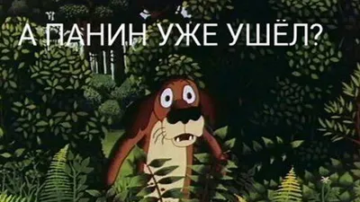 Собачка улыбается»: Алексей Панин весело провел время в компании качка и  пса - Экспресс газета