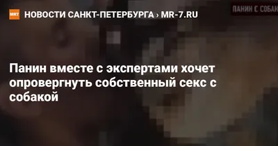 Панин после матча с «Ак Барсом» выложил фото с собакой: «Еще есть какой-то  пес?» - Хоккей - Sports.ru