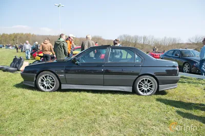 Alfa Romeo 164 Super TS 1996. - Alfa Romeo 164 Register.com