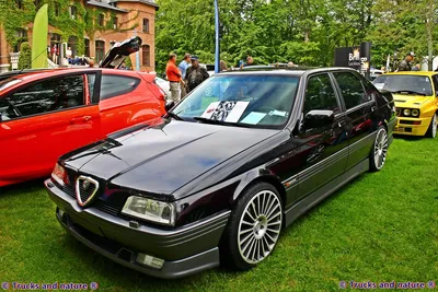 Alfa Romeo 164 Hungary - #alfaromeo #alfa164 #alfaporn #carporn  #italyancars #italiansoul #cuoresportivo #alfaamore #alfaworldowner  #youngtimer #pininfarina #wheelporn #alfaowner #autoesstilus #colors  #classiccars #welovealfaromeo #alfisti #dreamcar ...