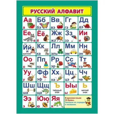 Плакат обучающий А4, Феникс+ \"Алфавит\", 200*290 мм купить по цене 53 руб. в  Москве. Бесплатная доставка по России. Артикул 58097001