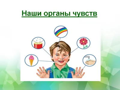 Купить Стенд Мы дежурим Схема дежурных, Алгоритм сервировки стола 650*500  мм 📄 с доставкой по Беларуси | интернет-магазин Stendy.by