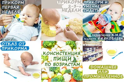 Методическая копилка © Детский сад №181 г.Минска