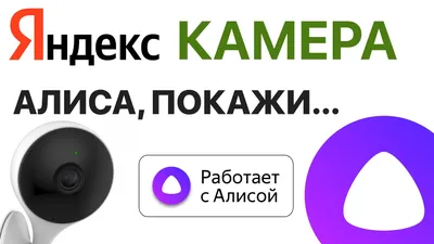 Алису» научили говорить оригинальные тосты и создавать открытки | Rusbase