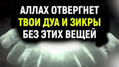 «Пусть Аллах накажет этих людей!» Мокаев резко отреагировал на действия  Палудана в Швеции - Чемпионат