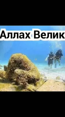 ne.vajno10021997 - Аллах велик и милосерден до блогословит нас всех |  Facebook