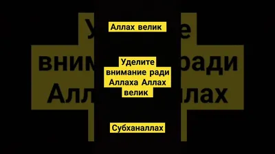 Аллах велик: истории из жизни, советы, новости, юмор и картинки — Все посты  | Пикабу