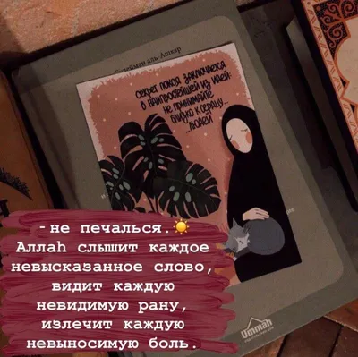 аллах всё видит и все слышит｜TikTok Search