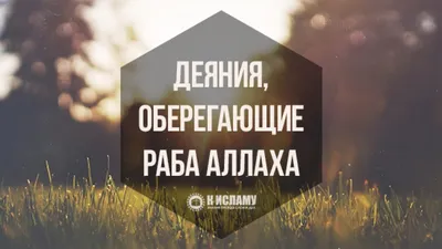 аллах свидетель аллах все видит｜Búsqueda de TikTok