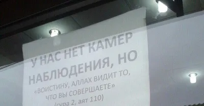 Солнце село, Аллах не видит... | Пикабу