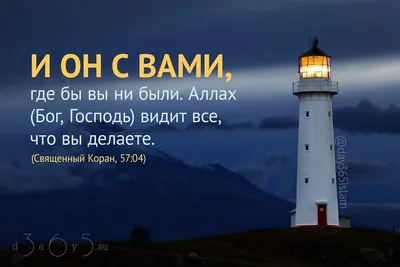 umma.ru on X: \"#МОТИВАЦИЯ_umma_ru Аллах (Бог, Господь) выносит (вынесет)  справедливый вердикт [по каждому]. Те же, к кому вы взываете помимо Него,  не возымеют возможности вынести решение даже по мелочам. Поистине, Аллах  (Бог,