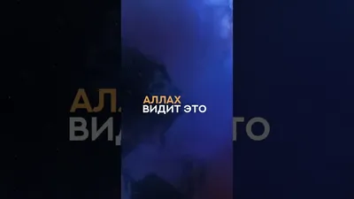 Аллах все видит / смешные картинки и другие приколы: комиксы, гиф анимация,  видео, лучший интеллектуальный юмор.