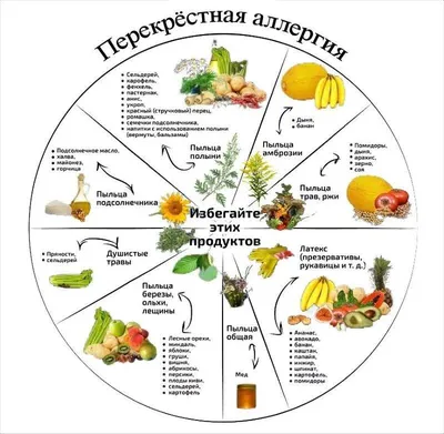 Полезен ли ананас для похудения: диетолог развенчала популярный миф —  Секрет фирмы