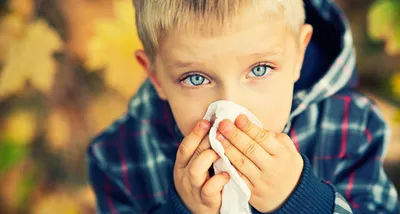 Пищевая аллергия - причины, аллергены, симптомы и лечение | видео -  Университет здорового ребёнка Няньковских